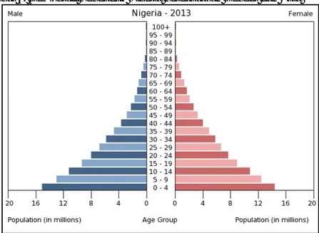 Gambar 3. Demografi Penduduk Nigeria berdasarkan Gender dan Usia 