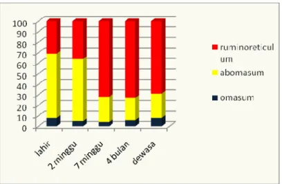 Gambar  2.  Perbandingan proporsi lambung ruminansia sejak lahir hingga dewasa             (sumber : Leek and Duke dalam Esfandiari 2005) 