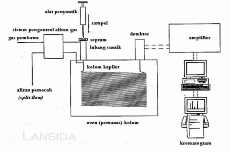 Gambar 2.6. Diagram Alir Kromatografi Gas 
