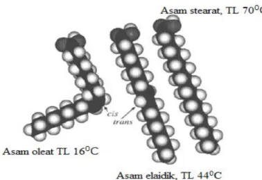 Gambar 1. Sruktur molekul asam oleat (cis-9, titik leleh 16 0 C), asam elaidik  (trans-9, titik leleh 44 0 C), dan asam stearat (titik leleh 70 0 C)