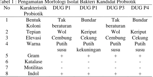 Tabel 1 : Pengamatan Morfologi Isolat Bakteri Kandidat Probiotik  No  Karakteristik 