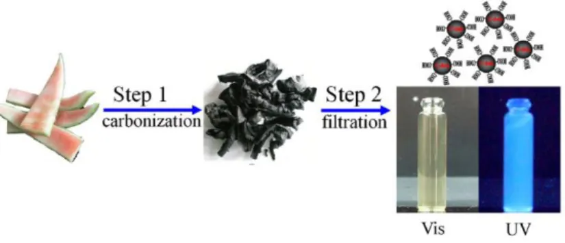 Gambar 2.5. Representasi struktur C-Dots (Sciortino et al., 2018) 