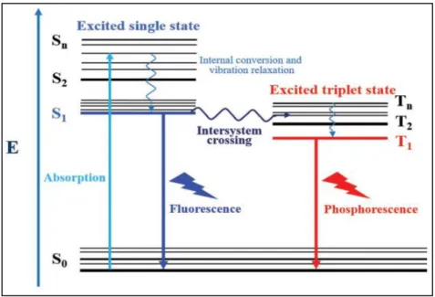 Gambar 2.11. Mekanisme fluorescence dan phosphorescence berdasarkan  Diagram Jablonski (Li et al., 2018) 