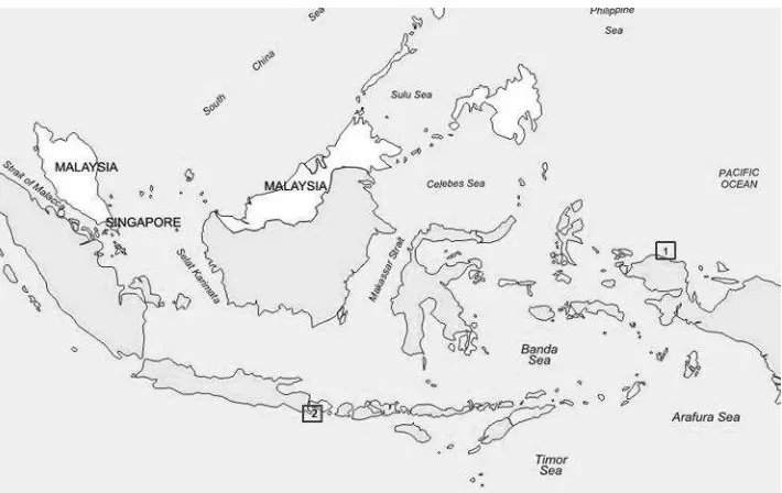 Figure-1: Sampling sites. The square number 1 shows the sampling location in the Birdhead Peninsula of Papua, and number 2 indicates the location of the sampling site in the western part of the Lesser Sunda region 