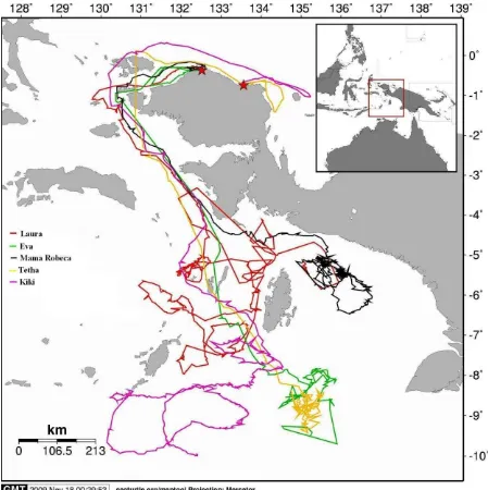 Figure 2. The post-nesting migration routes of Papuan olive ridley. Stars indicate the release locations