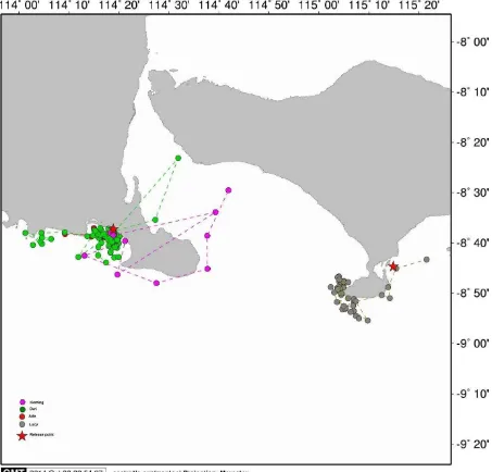 Figure 5. Inter-nesting areas used by the Lesser Sunda olives. The released points were Alas Purwo Beach (AP, left red star) and Serangan – Bali (right red star)