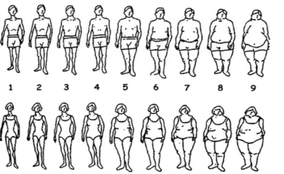 Gambar 2  Siluet bentuk tubuh metode figure rating scale 