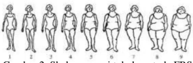 Figure  Rating  Scale  (FRS)  merupakan  metode  penilaian  persepsi  tubuh  yang  dikembangkan  oleh  (Stunkard  et  al