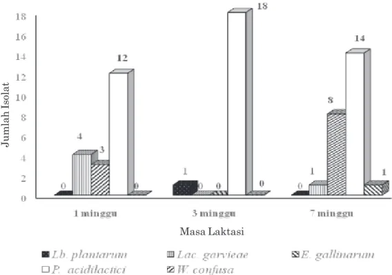 Gambar 2. Kemunculan spesies bakteri asam laktat pada susu segar sapi bali pada masa laktasi yang berbeda.