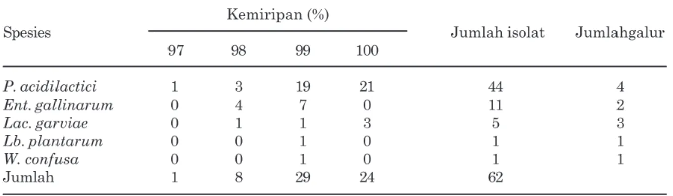 Tabel 2. Galur bakteri asam laktat isolat susu segar sapi bali berdasarkan kemiripan sekuen 16S rDNA parsial.