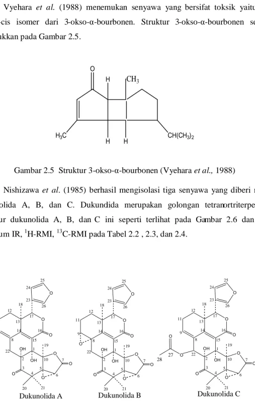 Gambar 2.5  Struktur 3-okso-α-bourbonen (Vyehara et al., 1988) 