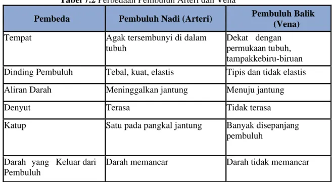Tabel 7.2 Perbedaan Pembuluh Arteri dan Vena 