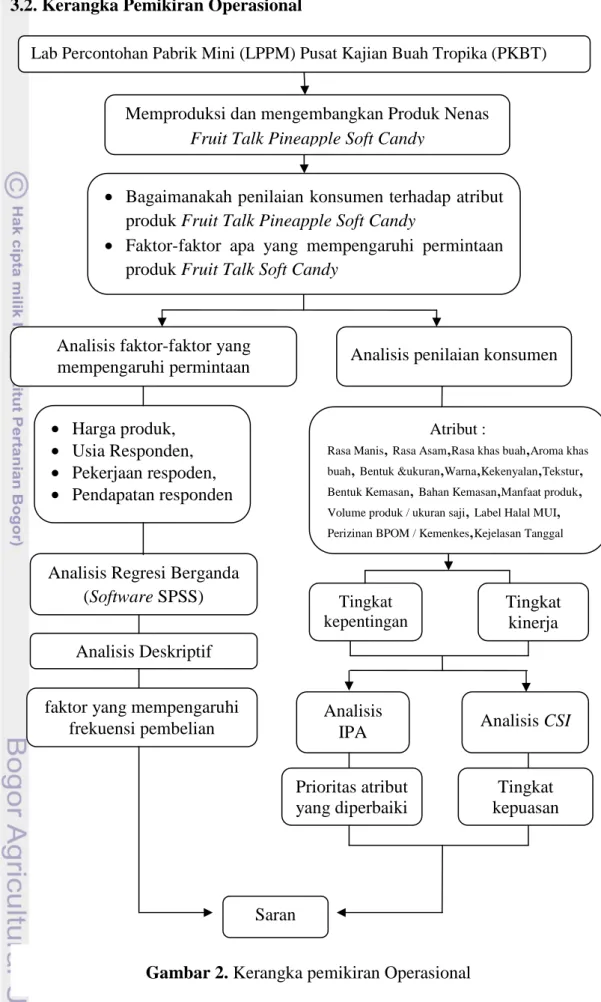 Gambar 2. Kerangka pemikiran Operasional 