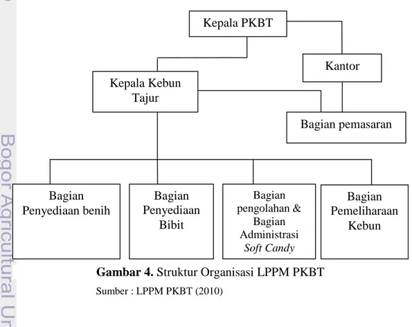 Gambar 4.  Struktur Organisasi LPPM PKBT