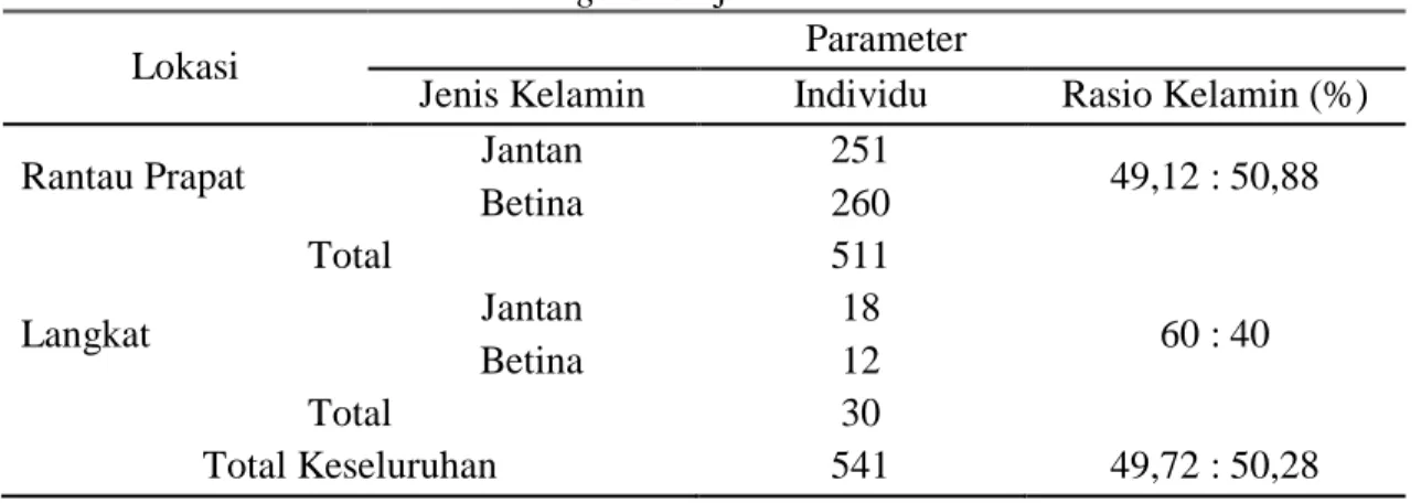 Tabel 4.1. Jumlah individu P. brongersmai jantan-betina 