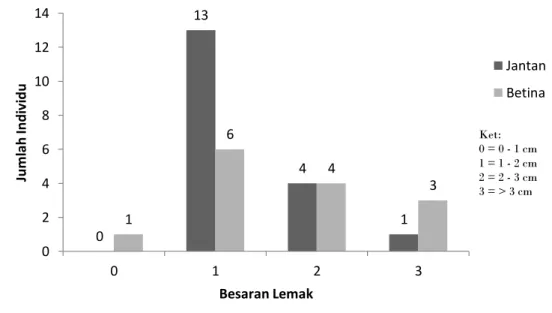 Gambar 4.3. Distribusi Individu P. brongersmai  Berdasarkan Besaran Lemak   (N = 30) 