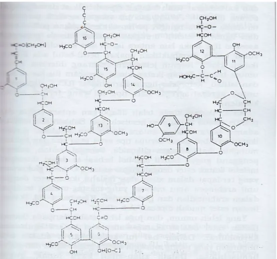 Gambar 1. Struktur Lignin (Sjostrom, 1995) 
