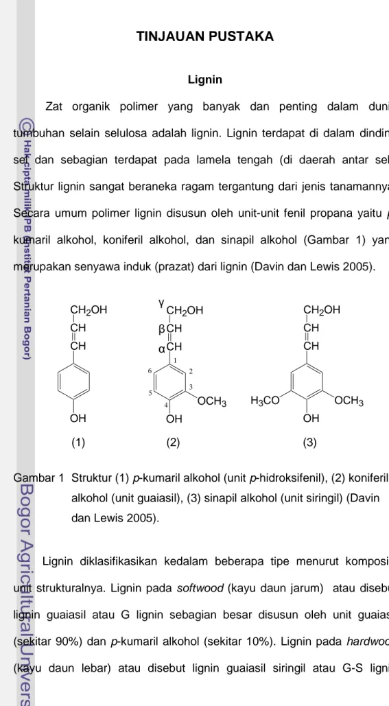 Gambar 1  Struktur (1) p-kumaril alkohol (unit p-hidroksifenil), (2) koniferil                    alkohol (unit guaiasil), (3) sinapil alkohol (unit siringil) (Davin                     dan Lewis 2005)