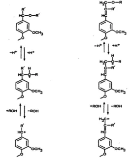 Gambar  3  Reaksi protonasi atom O pada C-α    dan C-γ (Hassi 1985). 