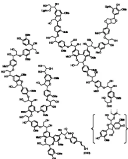 Gambar 2  Model struktur lignin guaiasil      (Santoso 2003). 