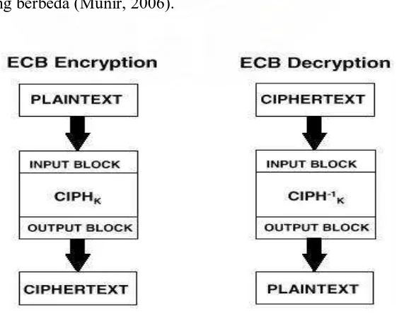 Gambar 2.8 Skema enkripsi dan dekripsi dengan mode ECB 