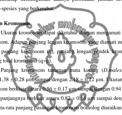 Tabel  2.  Rata-rata  panjang  pasangan  kromosom  tanaman  mata  kucing  (D.malesianus)  