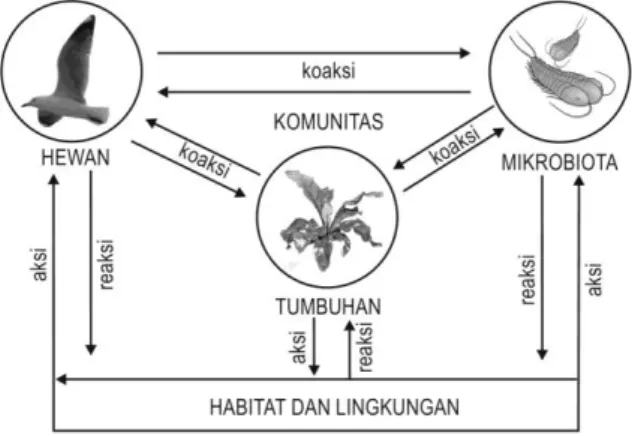 Gambar 1.1. Interaksi dalam ekosistem  (Sumber: modifikasi dari Brewer, 1994) 