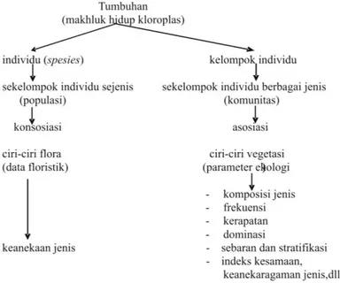 Gambar 1.2. Pengertian antara tumbuhan, flora, dan vegetasi  (Sumber: modifikasi Samingan, 1990)