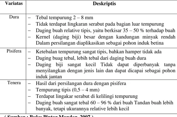 Table  1.  Jenis  –  jenis  variatas  kelpa  sawit  berdasarkan  ketebalan  tempurung  dan  daging buah    