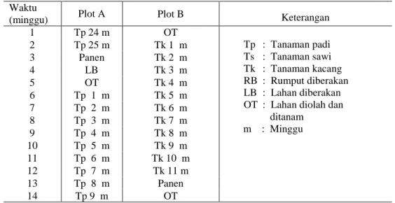 Tabel 2.   Perubahan  kondisi  tanah  dan  tanaman  di  areal  penelitian  menurut  waktu                selama periode penelitian 