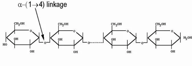 Gambar 3. Struktur amilosa (Cheng, 2006) 