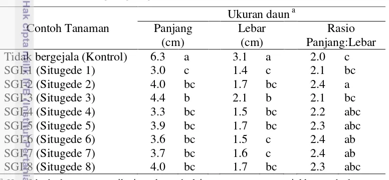 Tabel 1  Panjang dan lebar daun dari tanaman jeruk sehat dan yang bergejala 