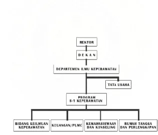 Gambar 3.1 Struktur Organisasi Ilmu Keperawatan 