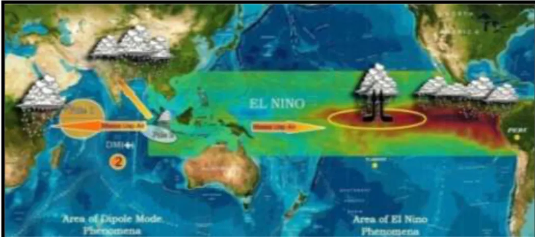 Gambar 2.2  Pengaruh  Fenomena  El  Nino  dan  IOD  Negatif  untuk  wilayah  Indonesia 