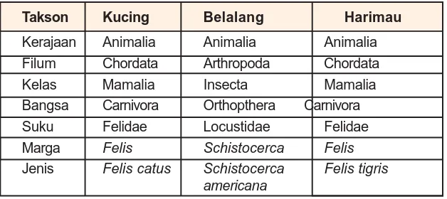 Tabel 6.1 Klasifikasi Hewan