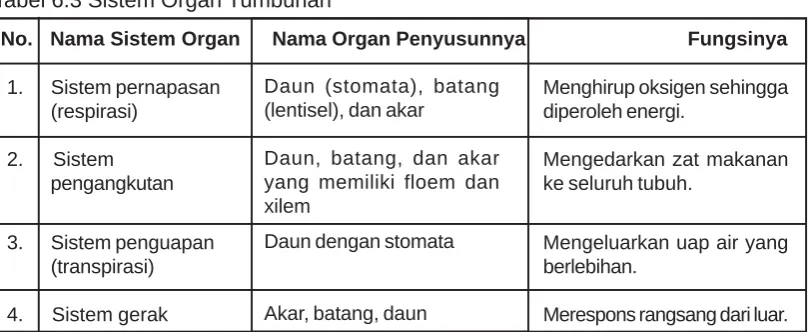 Tabel 6.3 Sistem Organ Tumbuhan