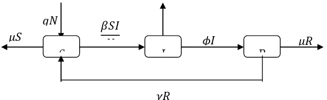 Figure 1. Diagram of SIRS model 