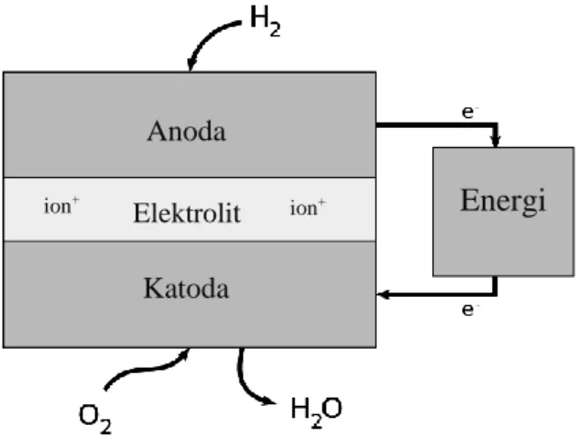 Gambar 2.1 Diagram Fuel Cell 