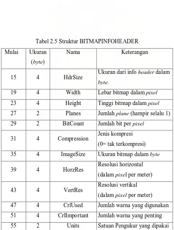 Tabel 2.5 Struktur BITMAPINFOHEADER 
