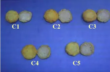 Gambar 10. Perkedel ayam dengan perbandingan CCM dan SBB                    10:25(C1); 15:20(C2); 17,5:17,5(C3); 20:15(C4); 25:10(C5) 