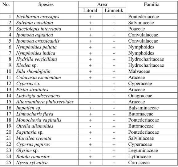Tabel 4. Hasil Pengamatan Jenis-Jenis Tumbuhan yang Dijumpai pada Area  Litoral dan Limnetik di Kawasan Rawa Pening