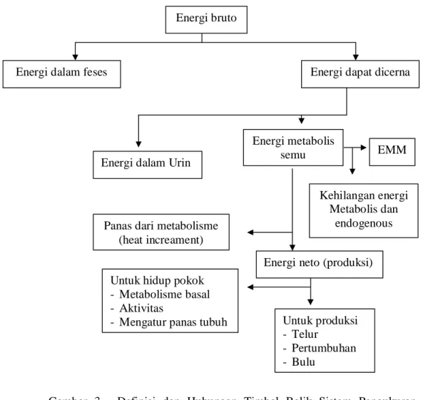 Gambar  3.    Definisi  dan  Hubungan  Timbal  Balik  Sistem  Pengukuran  Energi  (Leeson dan Summers, 2001) 