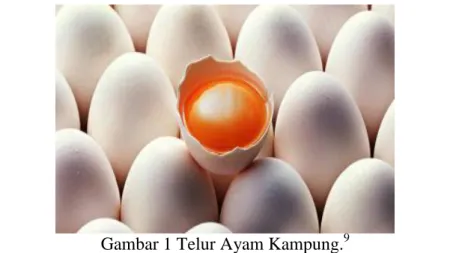 Gambar 1 Telur Ayam Kampung. 9 