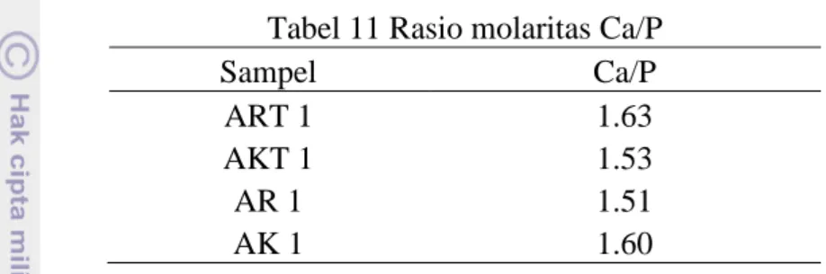 Tabel 11 Rasio molaritas Ca/P 