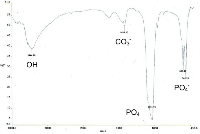 Gambar 1. Spektra infra red (FTIR) hidroksiapatit hasil pembuatan   dengan metode basah