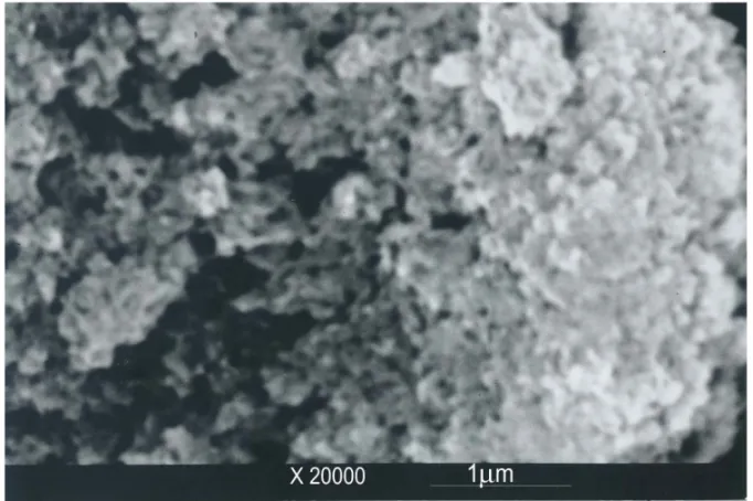 Gambar 2. Foto scanning electron microscope (SEM) hidroksi apatit   dengan pembesaran 20.000 kali