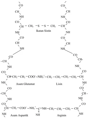 Gambar 1.  Struktur Molekul Wol (Soeprijono et al., 1973) 