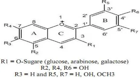 Gambar 2. Struktur kimia antosianin (Abou et al., 2011) 