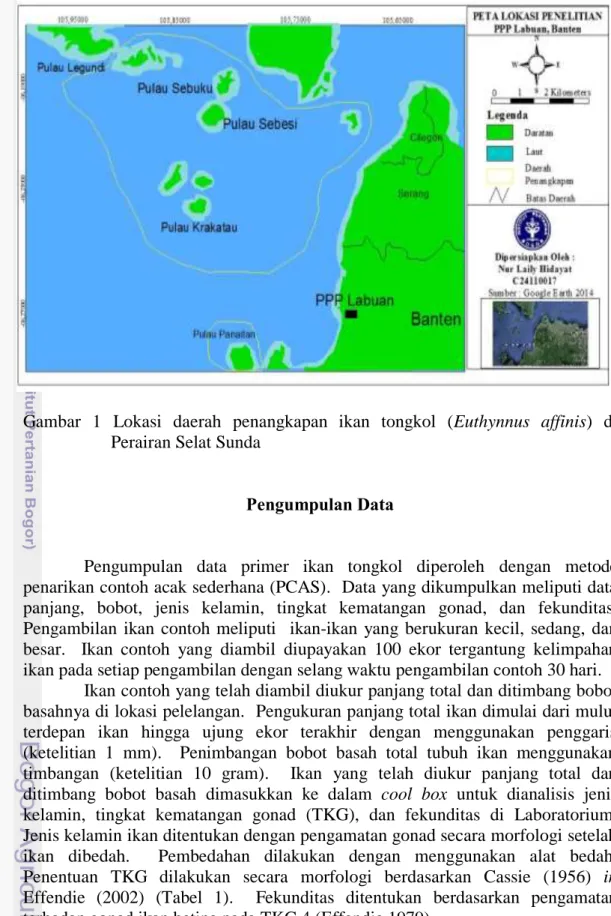 Gambar  1  Lokasi  daerah  penangkapan  ikan  tongkol  (Euthynnus  affinis)  di  Perairan Selat Sunda 