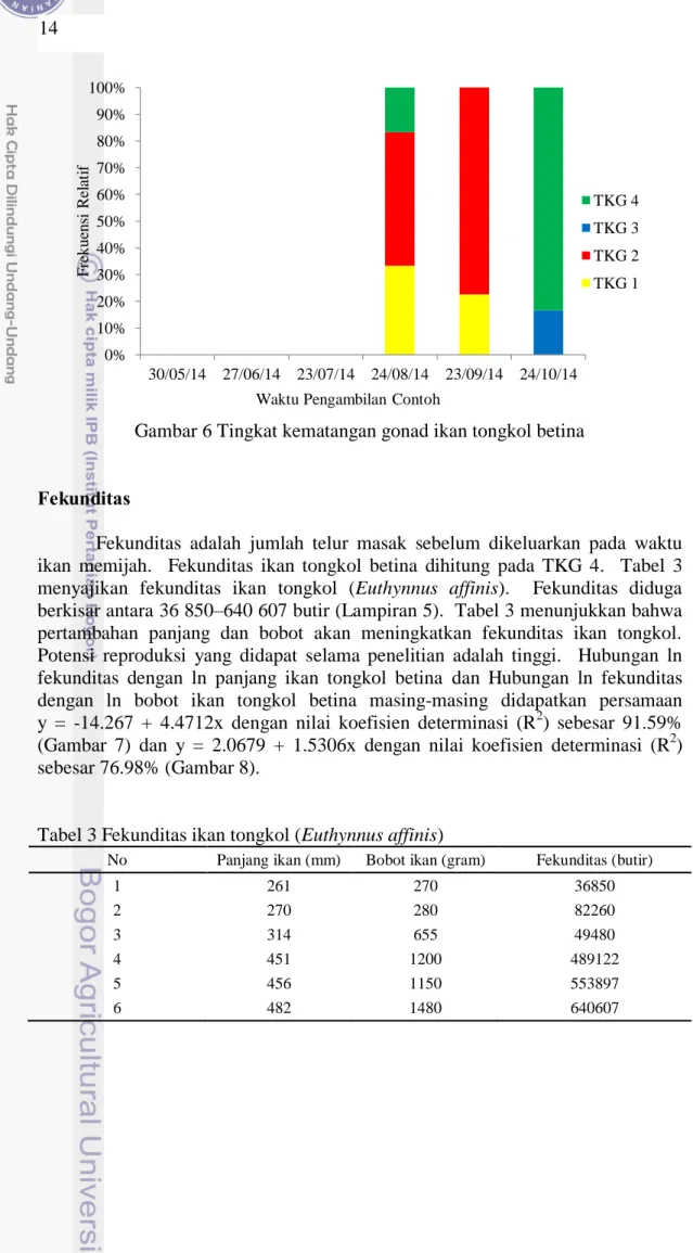 Gambar 6 Tingkat kematangan gonad ikan tongkol betina  Fekunditas 